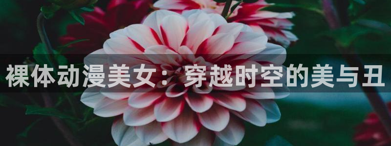 acg动漫下载：裸体动漫美女：穿越时空的美与丑