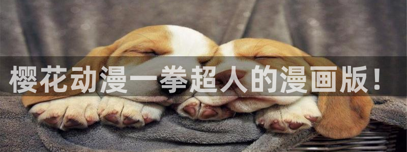 acg动漫下载免费：樱花动漫一拳超人的漫画版！