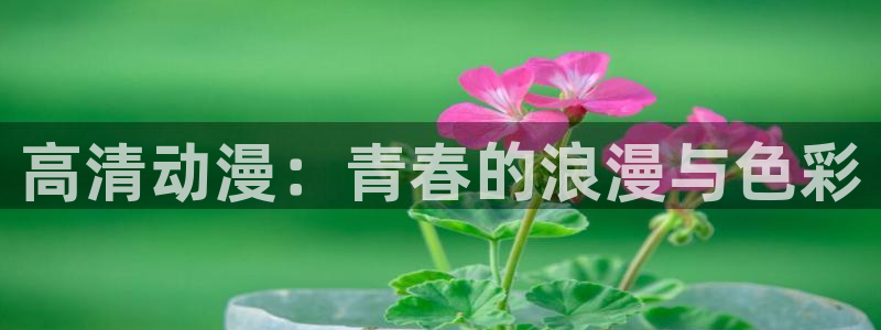 acg动漫网：高清动漫：青春的浪漫与色彩