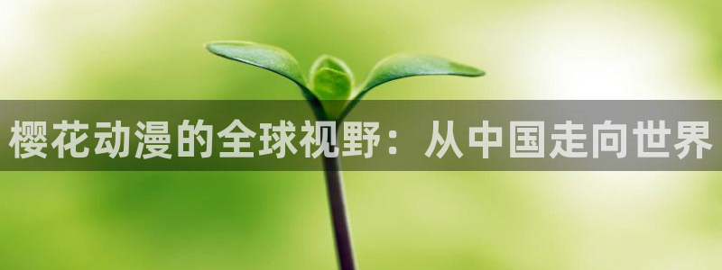 acg动漫官：樱花动漫的全球视野：从中国走向世界