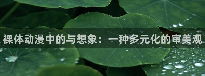 acg动漫网下载：裸体动漫中的与想象：一种多元化的审美观