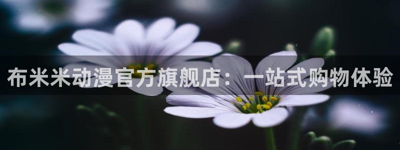 acg动漫污妖王：布米米动漫官方旗舰店：一站式购物体验